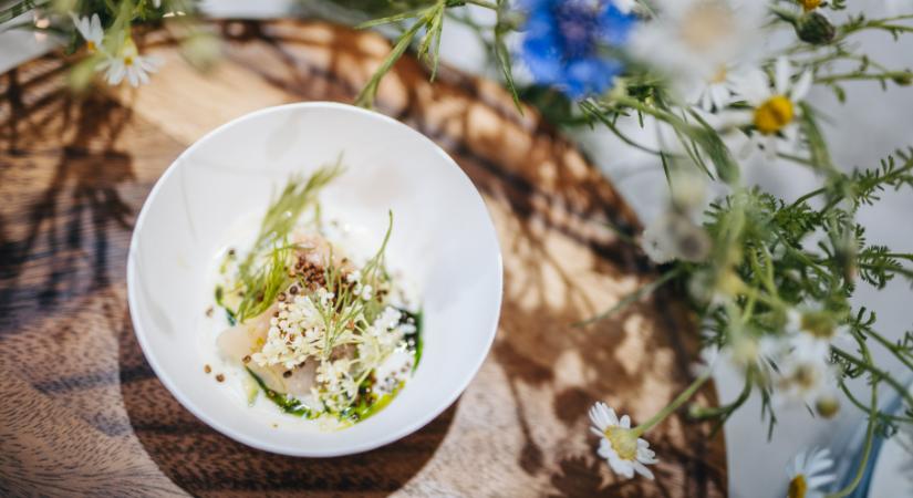 A vidéki gasztronómia lesz a Gourmet Fesztivál főszereplője