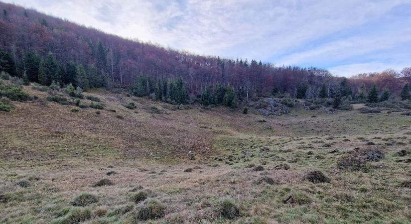 Megjöttek a fagyosszentek Borsodba! Mínusz tíz fokot mértek májusban