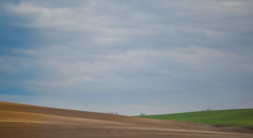 KSH – Tájékoztató az Agrárium 2026 mezőgazdasági összeírásról