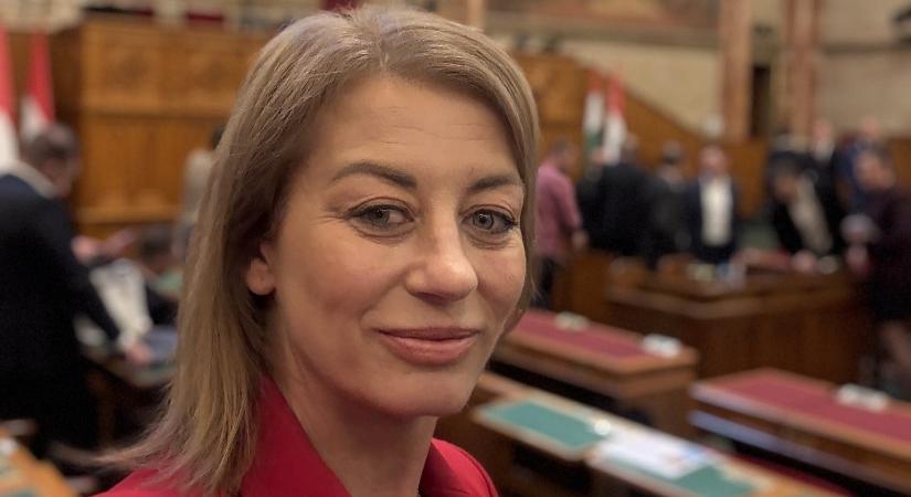 Bocsánatot kért a Tisza képviselője a parlamentben történtek miatt