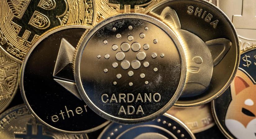 Cardano-bálnák kezében az ADA-kínálat 67%-a: gyűjtik a tokent, miközben gyengül a hálózati aktivitás