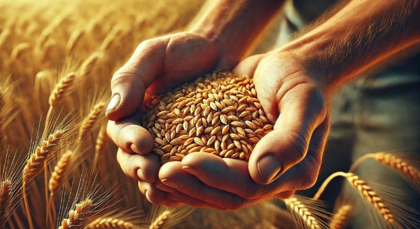 Agrár boxutca: konferencia a gabonapiacról