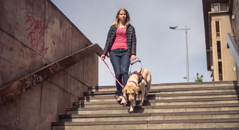 Belerúgtak a buszon Réka vakvezető kutyájába: „Mindenféle kurvának lehordott, követelte, hogy »a rohadt dögöt« takarítsam le”
