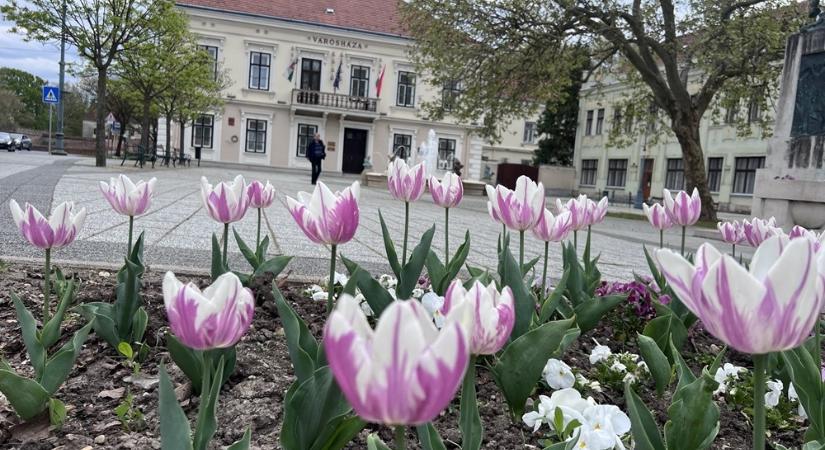 Újraosztják a bizottsági és felügyelőbizottsági helyeket Sárváron