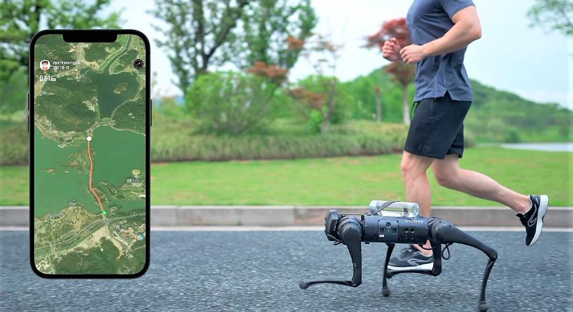 Felsült a csirkék őrzésével a kínai robotkutya, aztán jött a váratlan fordulat – videó