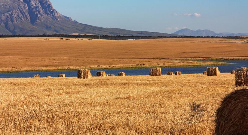 Afrika alatt a földkéreg soha nem látott mértékben vékonyodik – új óceán születhet