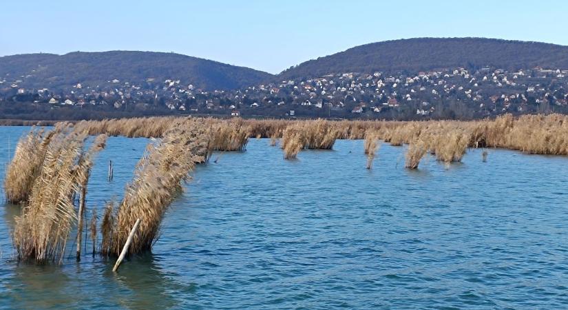 Kiváló programra várják a Balaton szerelmeseit Zala határán