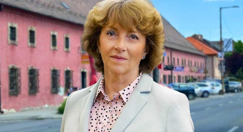 Egyre valószínűbbnek tartja az előrehozott önkormányzati választásokat Vác polgármestere Matkovich Ilona, aki már lépett is az ügyben