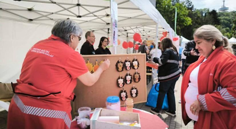 Civil napot tartottak ismét Miskolcon - képekkel