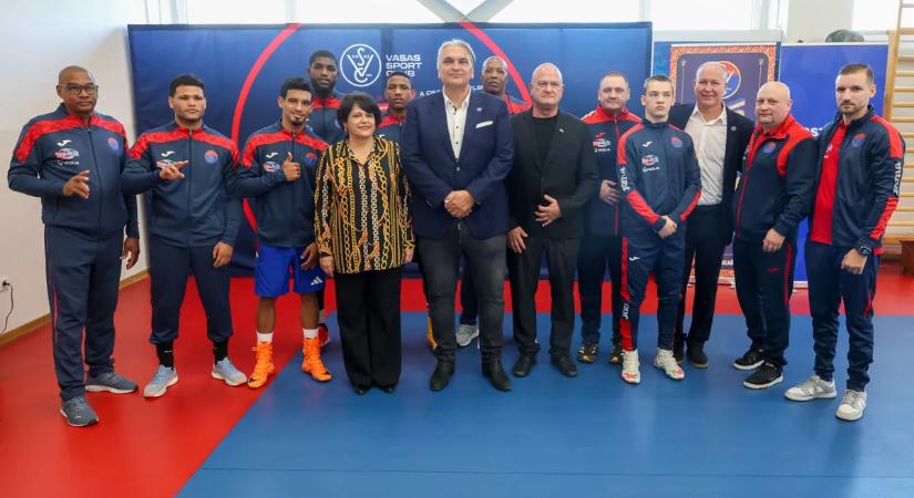 Ökölvívás: szamba egy hónapig a Fáy utcában