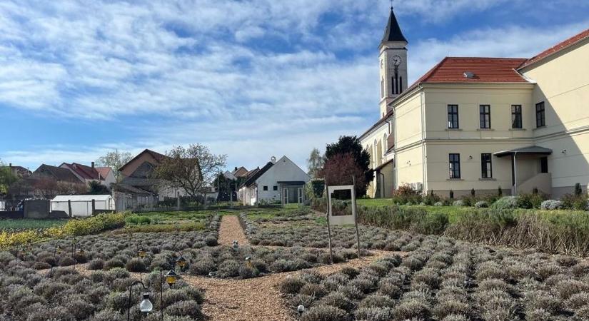 Világörökség Napja a Fertő-tájon: programokkal ünnepel a térség tíz települése