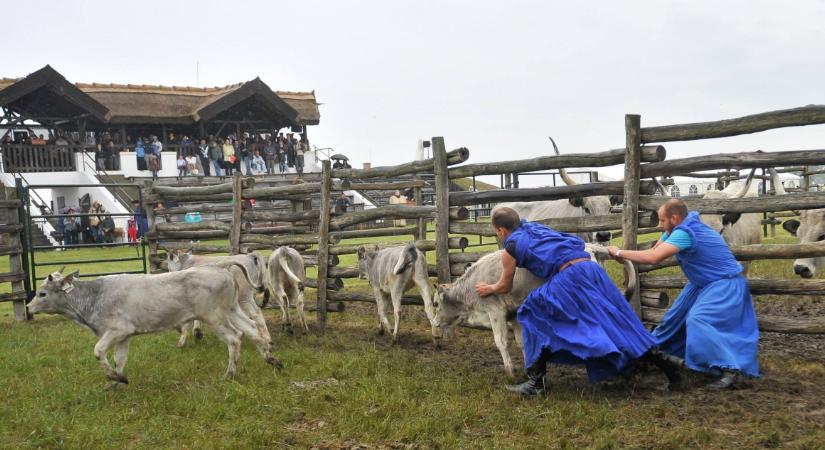 Országos Gulyásverseny és Pásztortalálkozó lesz Hortobágyon