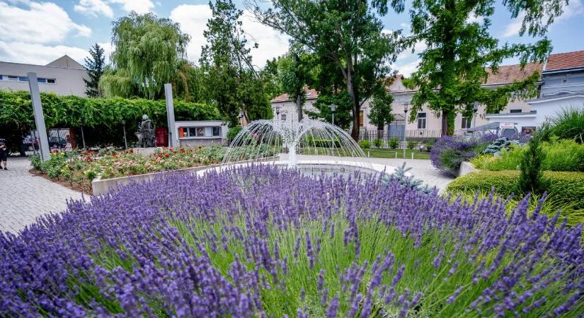 Még nem késő csatlakozni: május 31-ig várja a települések jelentkezését a Virágos Magyarország verseny