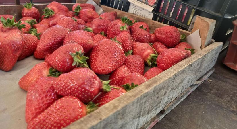 Tarol a piacon a magyar eper és a marokkói dinnye