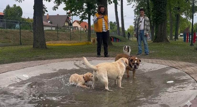 Hatalmas rohammal nyitott a Balaton első kutyavidámparkja