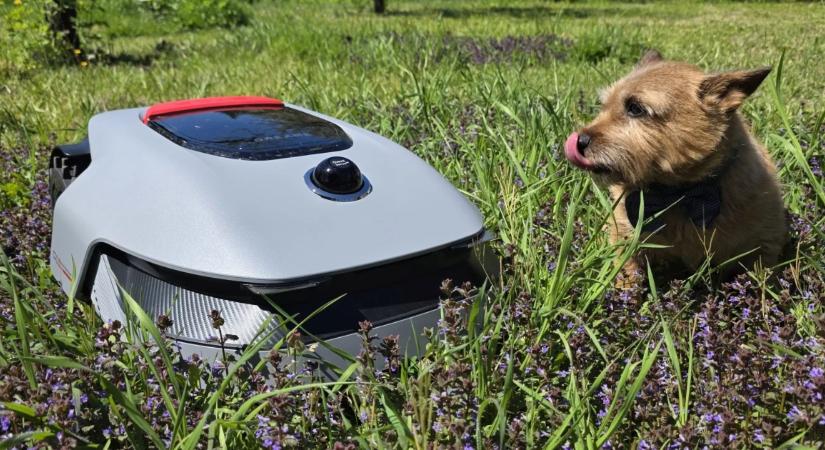 Megnéztük, valóban kiválthatja-e az embert az új kínai robotfűnyíró