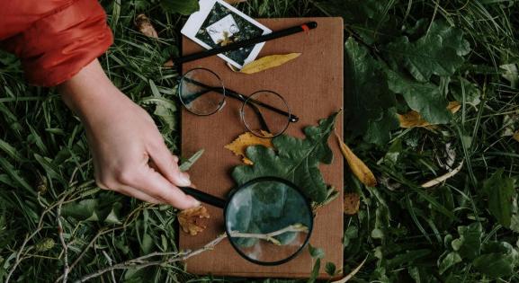 Mennyi mindent rejt még a természet? 5 könyv, ami segít felfedezni a világunk rejtett titkait