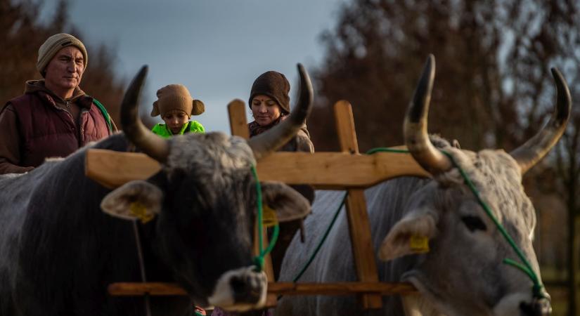 Magyarországon van egy falu, ahol szinte teljesen más szabályok szerint élnek