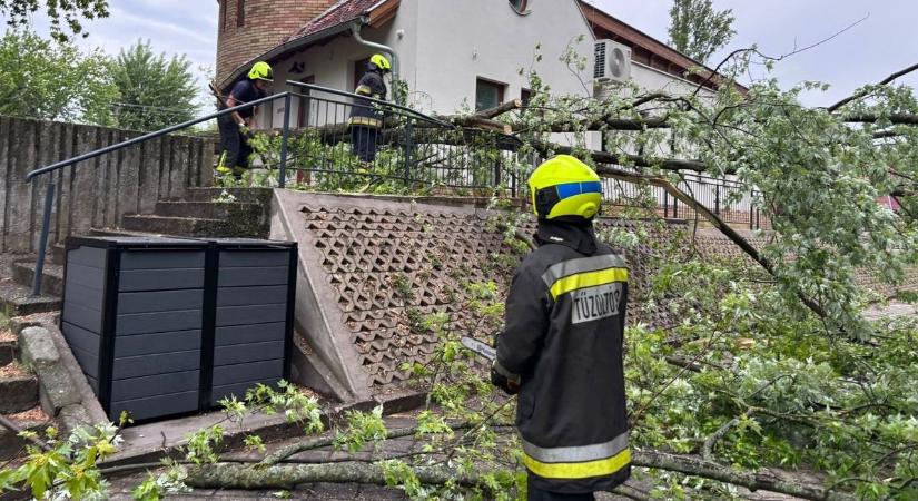 Bács-Kiskunban is pusztított a viharos szél: több településre is riasztották a tűzoltókat  fotó