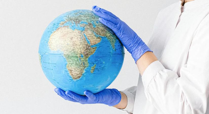 Pánik vagy óvatosság? Ismét megszólalt a WHO az Európába érkező hantavírus miatt