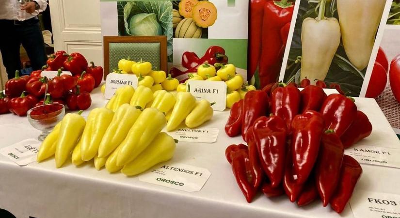 Több mint 60 éve félreértjük a tv paprika nevét – meglepő helyről ered az elnevezés