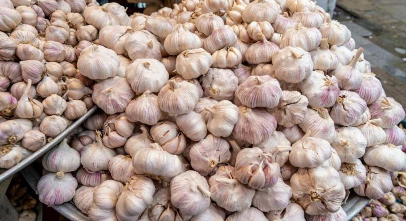 A szezon, amire senki sem fogadott volna: így alakult át teljesen a fokhagyma világpiaca