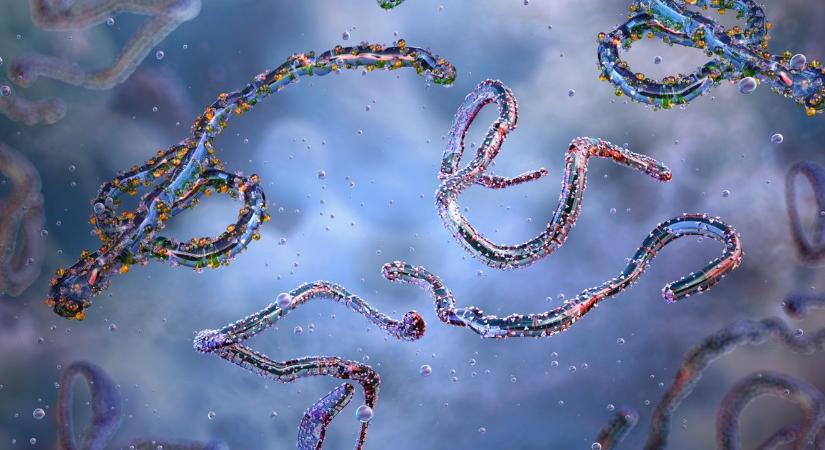 Kitört az újabb Ebolariadó: 246 gyanús eset és már 65 halott is van