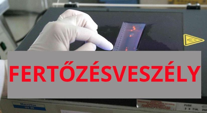 Figyelmeztetés érkezett: néhány hét alatt elszabadulhat a pusztító fertőzés, Szabolcsban is próbálják megfékezni a terjedését