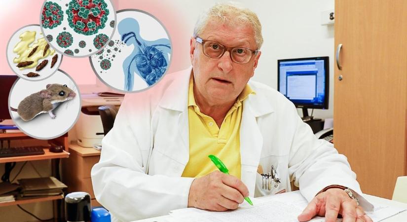 Orvos mondta el, milyen tünetekkel támad a hanta vírus