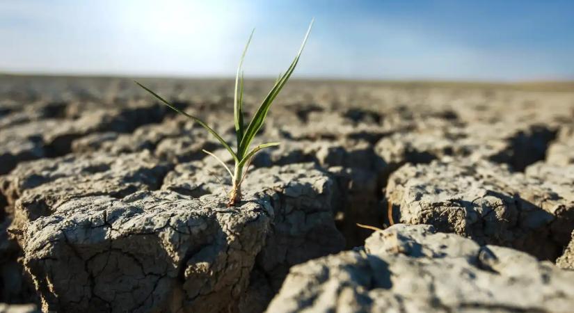 Háromszorosára ugrott a Föld energiatöbblete – Soha nem látott ütemben forrósodik a bolygó