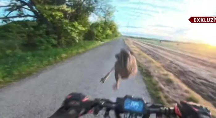 Nyúl ugrott egy rolleres arcába Százhalombattánál, brutális esés lett belőle – Videón az elképesztő jelenet