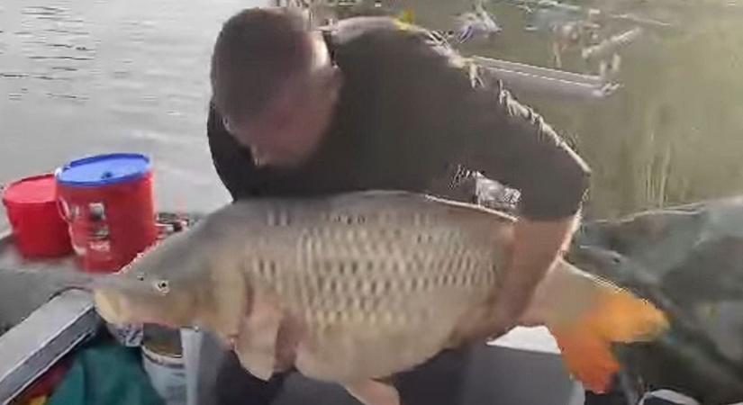 Hatalmas ponty akadt horogra a Tisza-tóban (Videó)
