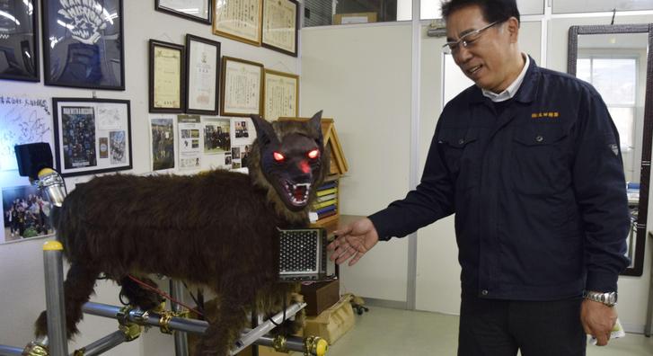 Robotfarkasok szálltak szembe a japán falvakat rettegésben tartó medvékkel