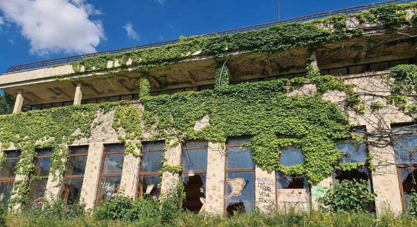 A rendszer lenyomata... – lehangolóan szomorú látványt nyújt a gazdátlanul hagyott Club Aliga