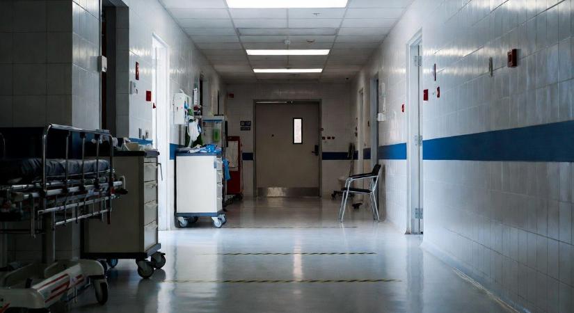 Elkülönítés, triázs és látogatási tilalom – Elővigyázatosság a hantavírus-gyanús eset után