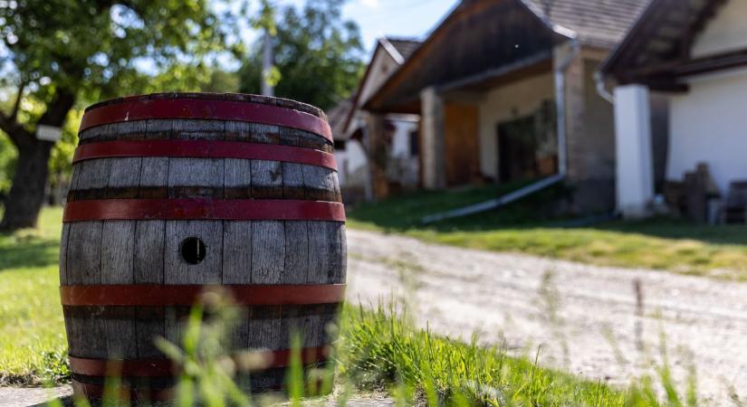 Titkokat őriz a neszmélyi domboldal: különös séta vár a pincék között