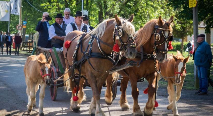 Rekordérdeklődés és szakmai csúcspont: lezárult az agrárium kiemelt eseménye