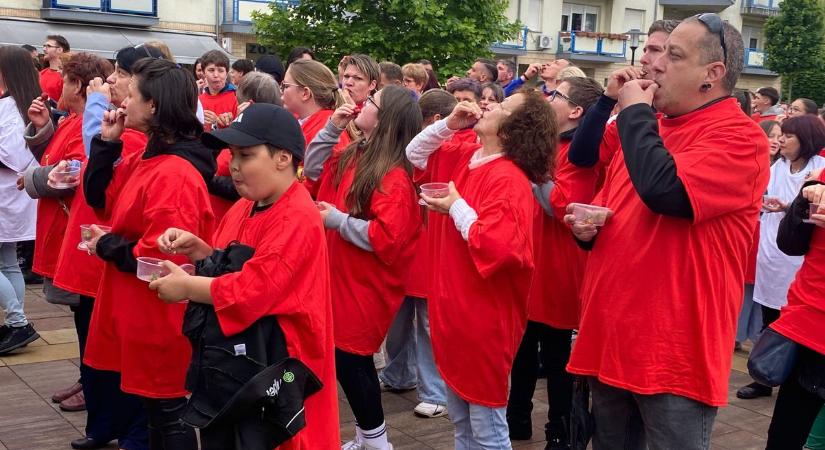 Több százan ettek szamócát Lajosmizsén, új rekord született