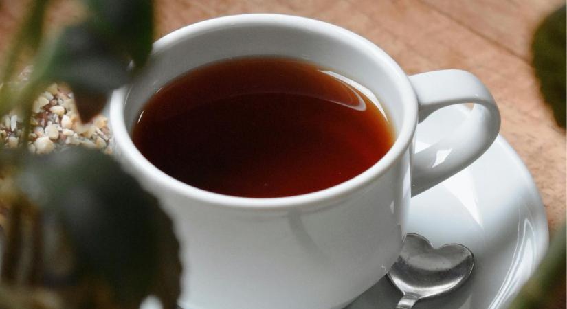 Népszerű Herbária-termékeket hívtak vissza – növényvédőszert találtak bennük