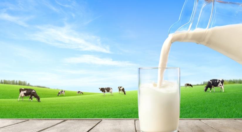 Ez az oka, ha hamar megromlik a tej – de így hozhatod helyre