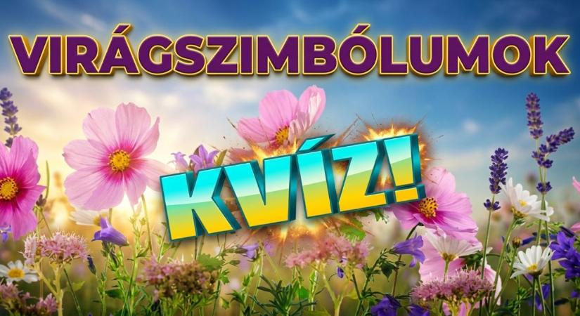 Kvíz: Vajon ismered a virágok titkos jelentését? Mutasd meg mit tudsz!
