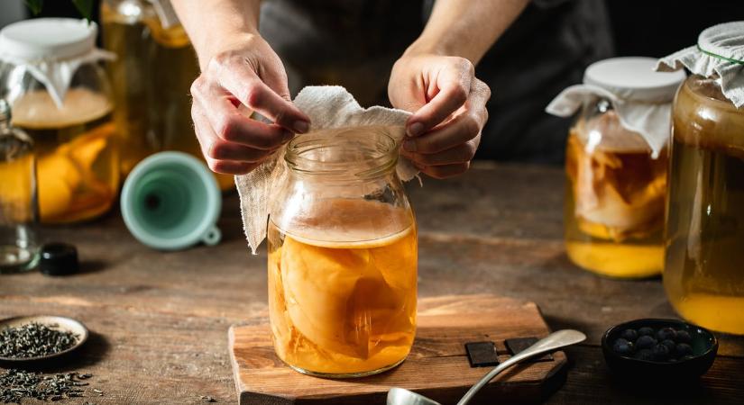 A kombuchától a gut shotig – Így készítheted el őket otthon és így hatnak az egészségedre a probiotikus italok