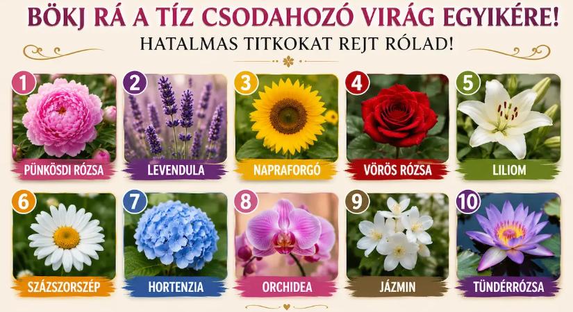 Bökj rá a csodahozó virágok egyikére – meglepő dolgokat árulhat el rólad a választásod