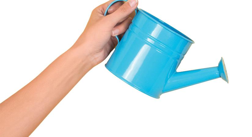 Hétről hétre a tavaszi kertért: Május