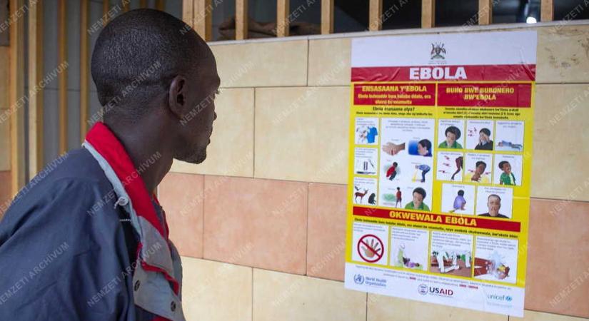 Ebola-vészhelyzetet hirdetett a WHO, hantavírus miatt is figyelmeztetnek