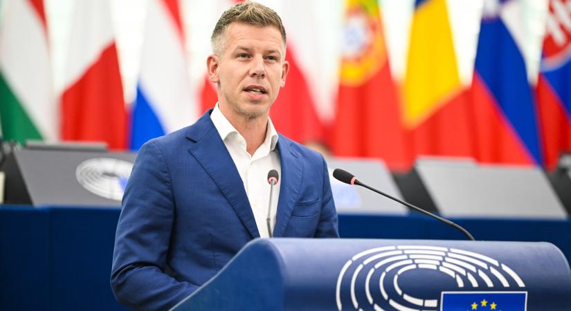 Megvan, kiket küld a Tisza Párt az Európai Parlamentbe Magyar Péter és Tarr Zoltán helyére