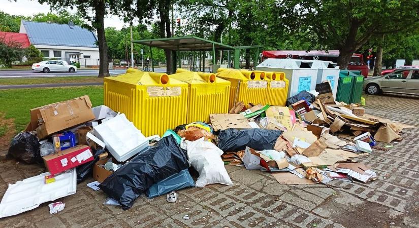 Szinte kitakarja a szemét a szelektív hulladékgyűjtőket a debreceni városrészben