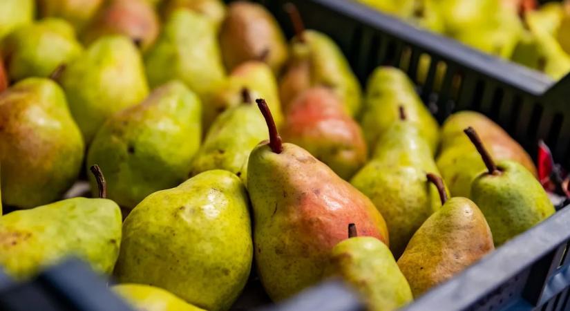 Így mossunk gyümölcsöt, hogy ne maradjon rajta vegyszer