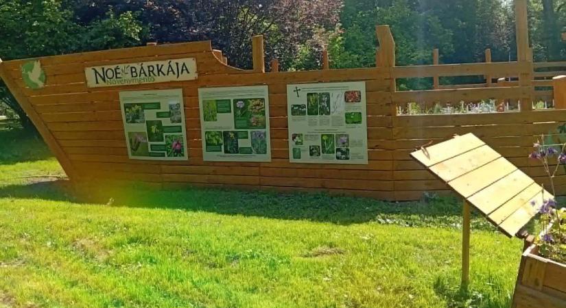 Védett növények és híres tudósnők kaptak különleges helyet a szegedi füvészkertben