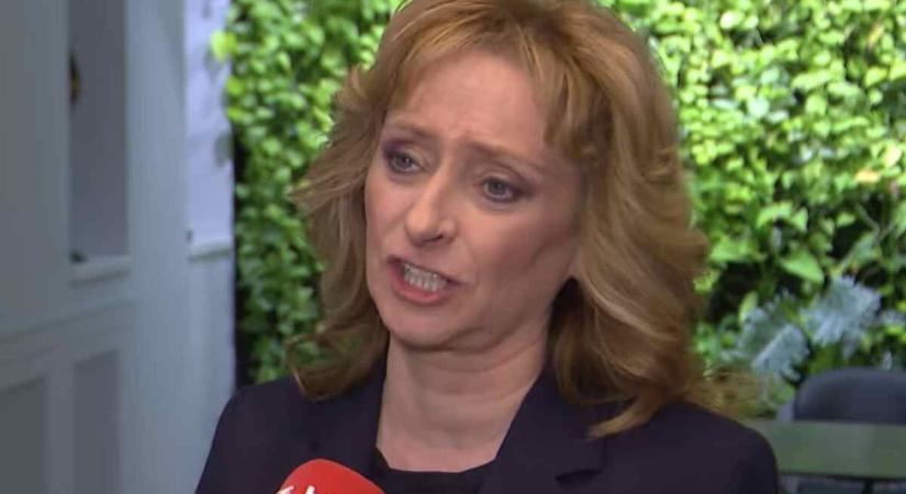 A Fidesz korábbi képviselője elmondta, mivel kellene elsőként szembenéznie a pártnak